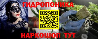 не бодяженный Бийск