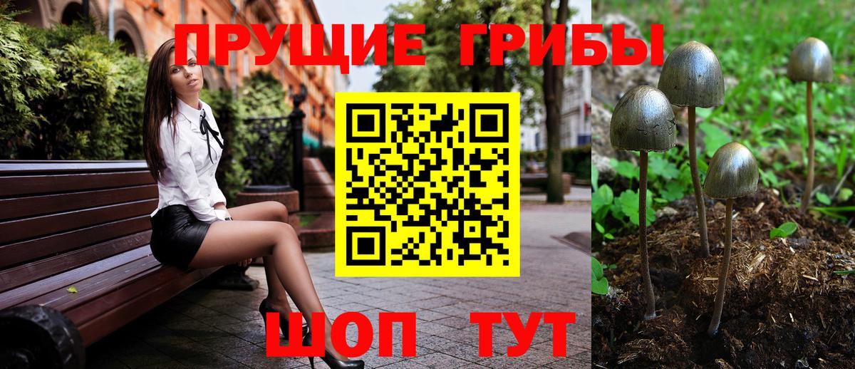 Галлюциногенные грибы Psilocybine cubensis Вятские Поляны